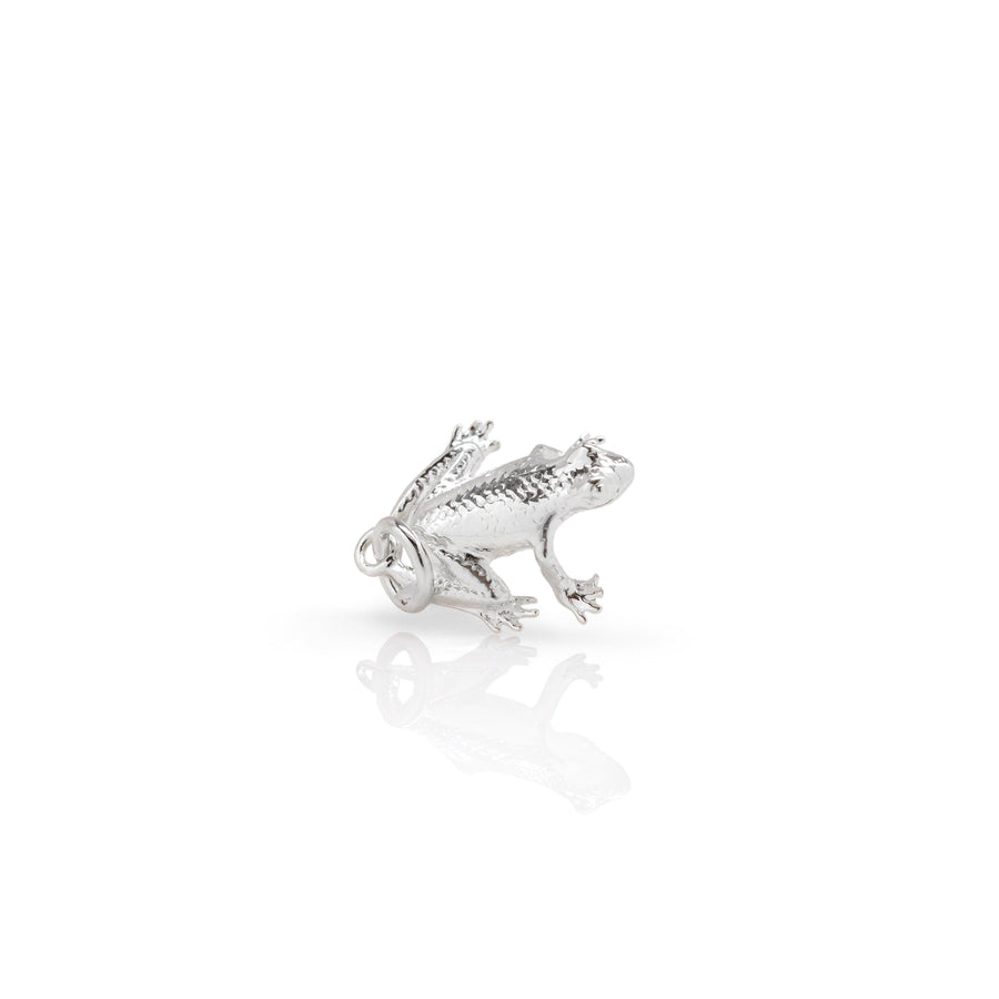 Tree Frog Charm